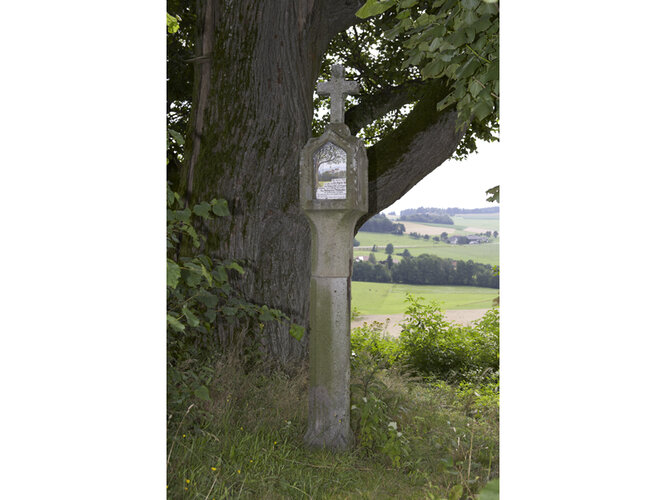 Bildstock des Hochgerichts Marsbach | © Foto: OÖ. Landesmuseen, Ute Streitt