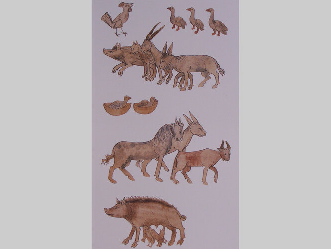 Haustiere im Mittelalter