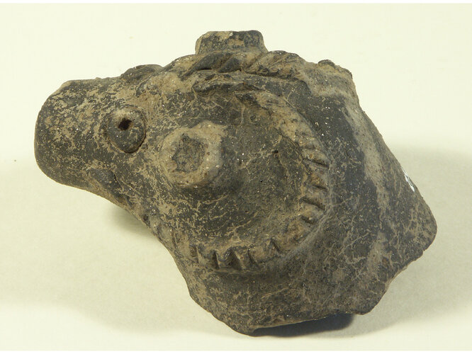 Widderkopf | © Robert Kaltenberger-Löffler