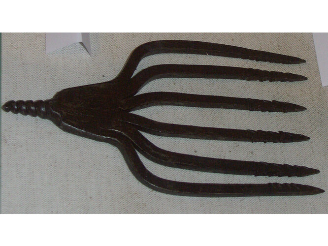 Huchenstecher | © Robert Kaltenberger-Löffler 