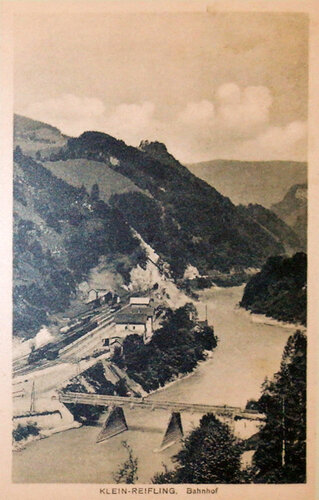 Klein-Reifling