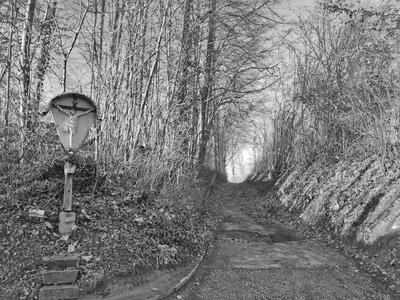 Dachkreuz, Aschach an der Donau | © Foto: Elisabeth Kreuzwieser