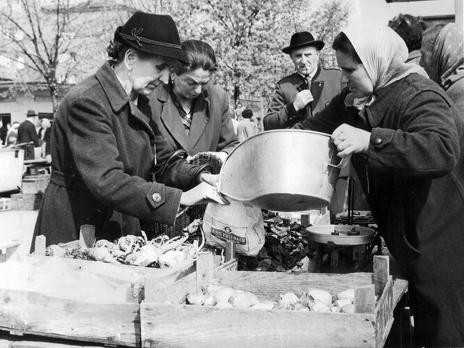 Es geht wieder aufwärts...