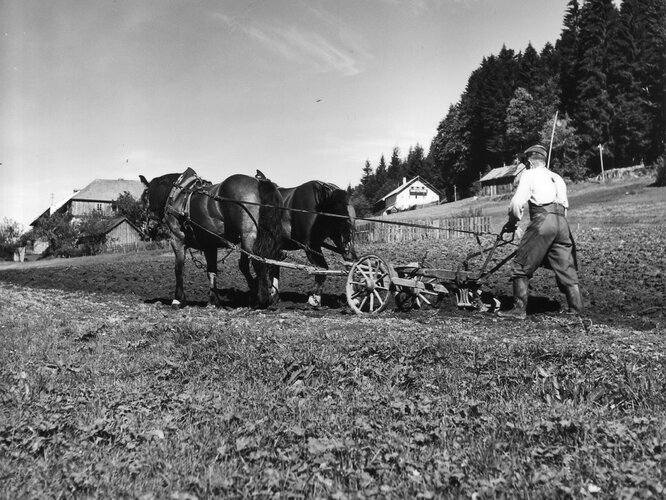 Bauer bei der Feldarbeit