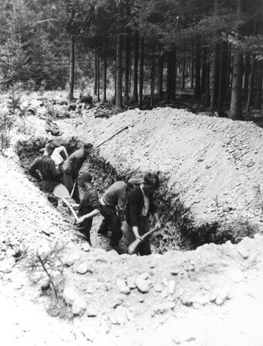 Befreiung der Konzentrationslager in OÖ. | © National Archives (266490)