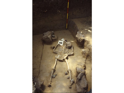 Spätantikes Männergrab | © Nordico. Museum der Stadt Linz