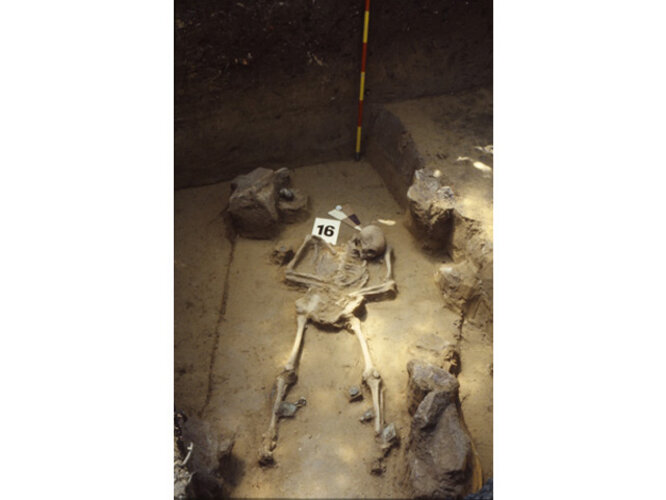 Spätantikes Männergrab | © Nordico. Museum der Stadt Linz