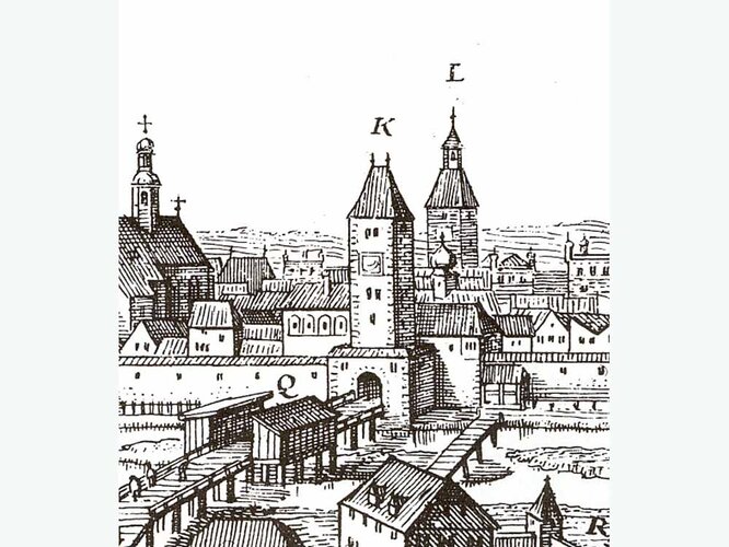 Wels | © Bearbeitung: Christian Rohr