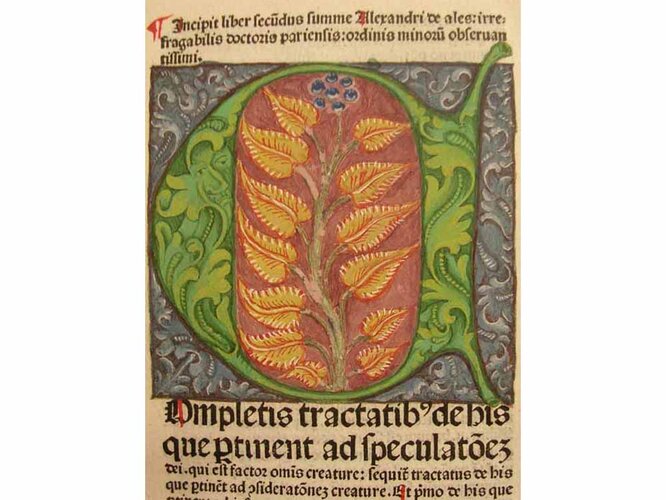 OÖLB, Ink. 634 | © Oö. Museumsverbund