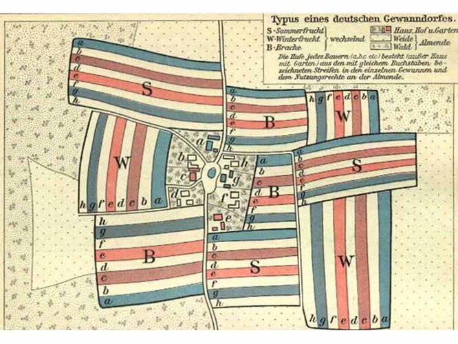 Dreifelderwirtschaft | © Bearbeitung: Oö. Museumsverbund