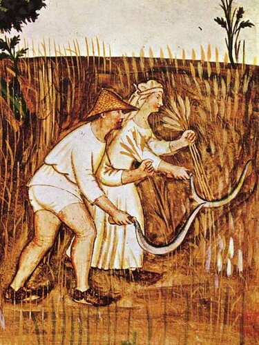 Getreideernte | © Public Domain