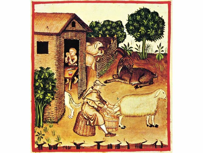 Melken der Haustiere  | © Public Domain