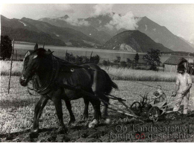 Bauer bei der Feldarbeit | © OÖ. Landesarchiv