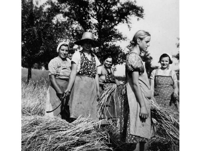 Kornschnitt 1940 | © Privat Wiesinger/Koller