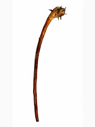 Morgenstern | © Mühlviertler Schlossmuseum Freistadt