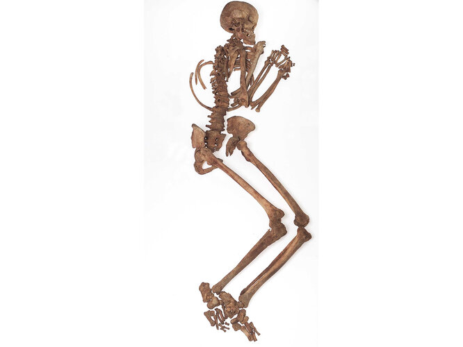 Hockerskelett aus der Frühbronzezeit