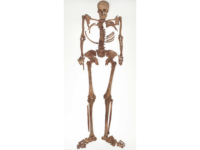Mittelbronzezeitliches Skelett