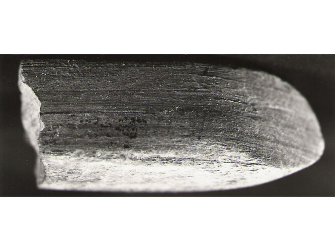 Fragment eines Steinwerkzeuges | © Museum Hallstatt