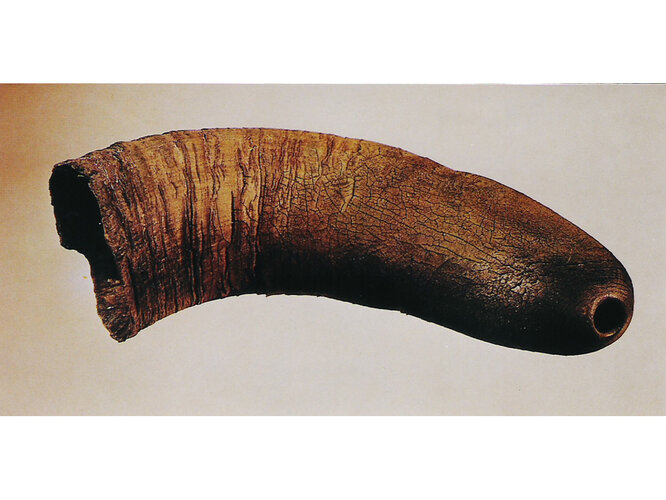 Rinderhorn | © Museum Hallstatt