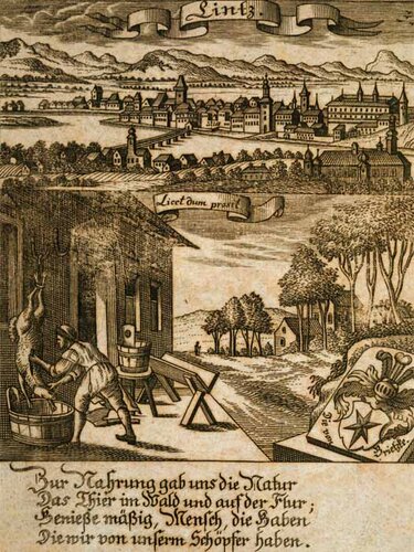 Linz | © Oö. Landesmuseen