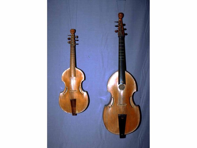 Gamben | © OÖ. Landesmuseen, Musikinstrumentensammlung