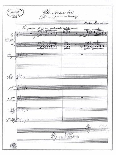 Abendzauber | © Männergesangsverein „Sängerlust“ Steyr