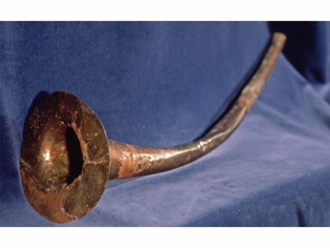 Cornufragment | © Stadtmuseen Wels