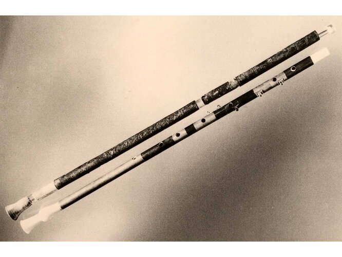 Rekostruierter Doppelaulos | © Universität Innsbruck, Institut für Archäologien