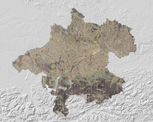 Urmappe - Franziszeischer Kataster  | © DORIS