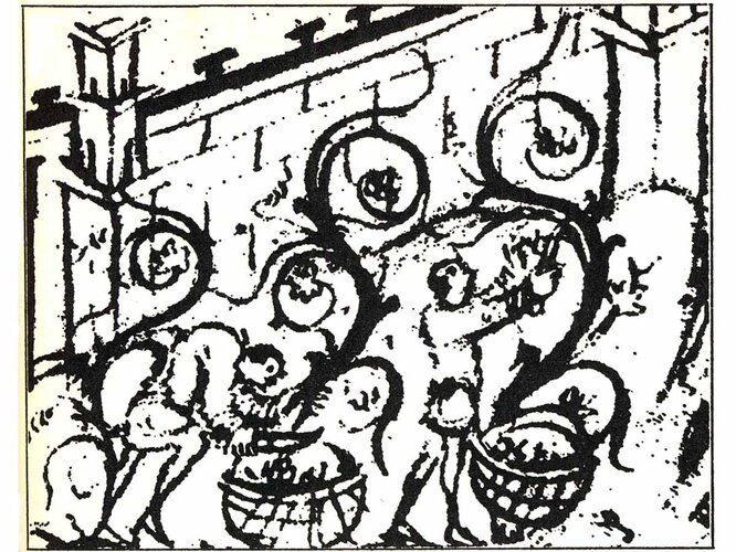 Weinlese | © Oö. Museumsverbund