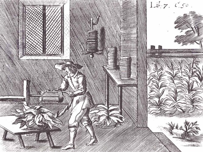 Tabakverarbeitung | © Oö. Landesbibliotehk