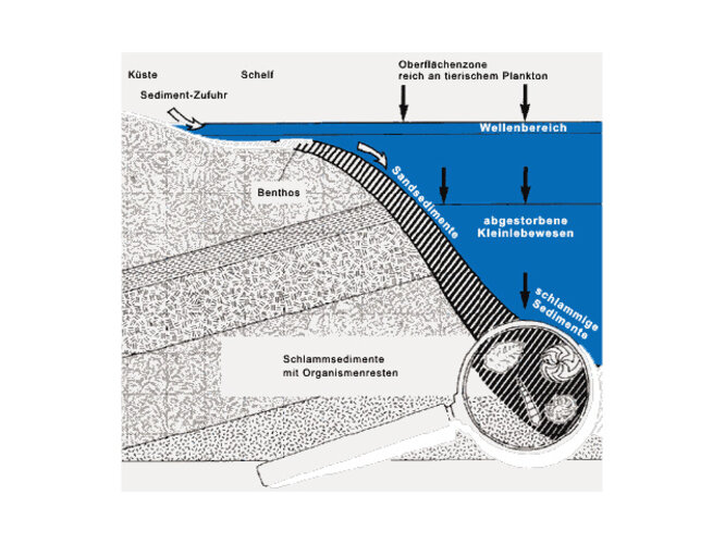 Entstehung von Erdgas | © Fachverband Gas Wärme