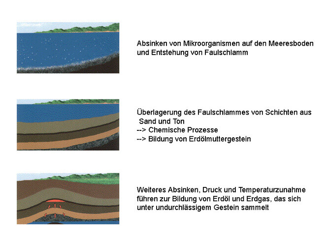 Entstehung von Erdgas | © Fachverband Gas Wärme