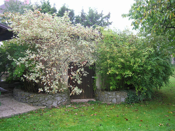 Gasometer | © Oö. Museumsverbund