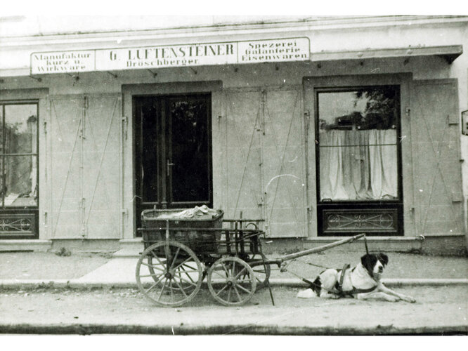 Sierning | © Komm.R. Willibald Egger