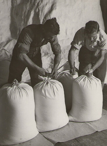 Einführung der Salzabsackung | © Museum Hallstatt