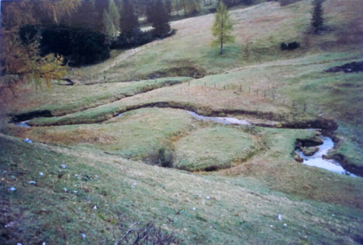 Bild zu Stanzel Teichl wurzeralm