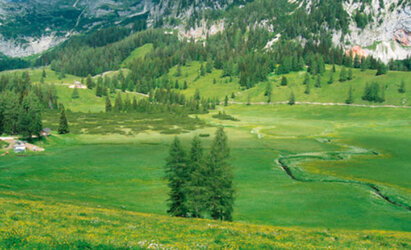 Teichlboden auf der Wurzer Alm