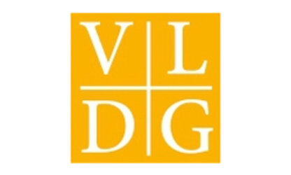Logo VLDG