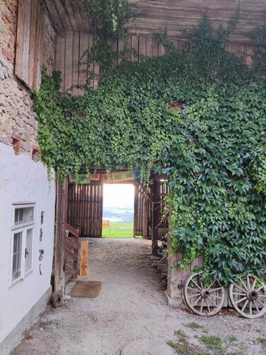 Study visit - Steinbach an der Steyr | © ARGE Regional- und Heimatforschung